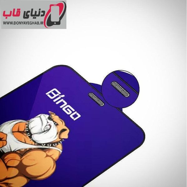 گلس و محافظ صفحه نمایش اپل آیفون iPhone 12 Mini
